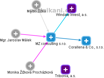 MZ consulting s.r.o. - náhled vizuálního zobrazení vztahů obchodního rejstříku