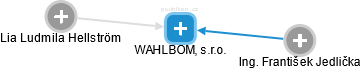 WAHLBOM, s.r.o. - náhled vizuálního zobrazení vztahů obchodního rejstříku