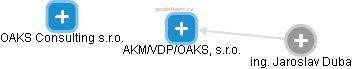 AKM/VDP/OAKS, s.r.o. - náhled vizuálního zobrazení vztahů obchodního rejstříku