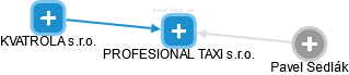 PROFESIONAL TAXI s.r.o. - náhled vizuálního zobrazení vztahů obchodního rejstříku