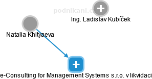 e-Consulting for Management Systems s.r.o. v likvidaci - náhled vizuálního zobrazení vztahů obchodního rejstříku