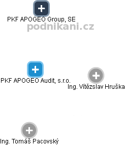 PKF APOGEO Audit, s.r.o. - náhled vizuálního zobrazení vztahů obchodního rejstříku
