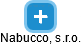 Nabucco, s.r.o. - náhled vizuálního zobrazení vztahů obchodního rejstříku