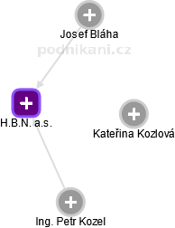H.B.N. a.s. - náhled vizuálního zobrazení vztahů obchodního rejstříku