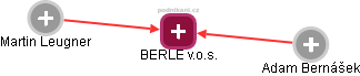 BERLE v.o.s. - náhled vizuálního zobrazení vztahů obchodního rejstříku