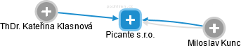 Picante s.r.o. - náhled vizuálního zobrazení vztahů obchodního rejstříku