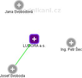 LUDORA a.s. - náhled vizuálního zobrazení vztahů obchodního rejstříku