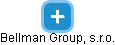 Bellman Group, s.r.o. - náhled vizuálního zobrazení vztahů obchodního rejstříku