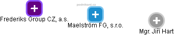 Maelström FG, s.r.o. - náhled vizuálního zobrazení vztahů obchodního rejstříku