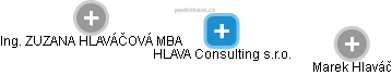 HLAVA Consulting s.r.o. - náhled vizuálního zobrazení vztahů obchodního rejstříku