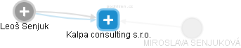 Kalpa consulting s.r.o. - náhled vizuálního zobrazení vztahů obchodního rejstříku