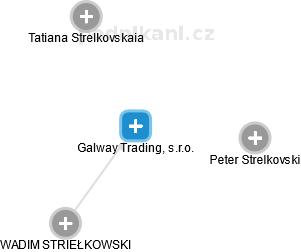 Galway Trading, s.r.o. - náhled vizuálního zobrazení vztahů obchodního rejstříku
