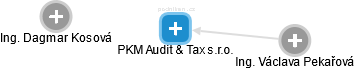 PKM Audit & Tax s.r.o. - náhled vizuálního zobrazení vztahů obchodního rejstříku