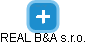 REAL B&A s.r.o. - náhled vizuálního zobrazení vztahů obchodního rejstříku
