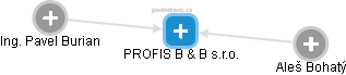 PROFIS B & B s.r.o. - náhled vizuálního zobrazení vztahů obchodního rejstříku