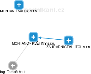 MONTANO - KVĚTINY s.r.o. - náhled vizuálního zobrazení vztahů obchodního rejstříku