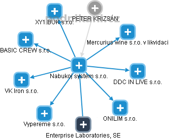 Nabukoj system s.r.o. - náhled vizuálního zobrazení vztahů obchodního rejstříku
