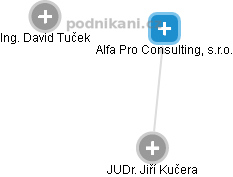 Alfa Pro Consulting, s.r.o. - náhled vizuálního zobrazení vztahů obchodního rejstříku