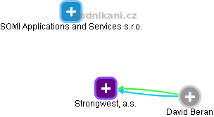 Strongwest, a.s. - náhled vizuálního zobrazení vztahů obchodního rejstříku