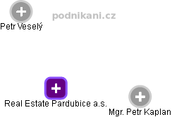Real Estate Pardubice a.s. - náhled vizuálního zobrazení vztahů obchodního rejstříku
