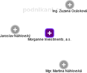 Morganne Investments, a.s. - náhled vizuálního zobrazení vztahů obchodního rejstříku