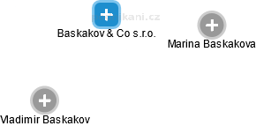 Baskakov & Co s.r.o. - náhled vizuálního zobrazení vztahů obchodního rejstříku