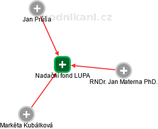 Nadační fond LUPA - náhled vizuálního zobrazení vztahů obchodního rejstříku