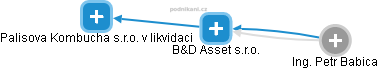 B&D Asset s.r.o. - náhled vizuálního zobrazení vztahů obchodního rejstříku