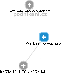 Wellbeing Group s.r.o. - náhled vizuálního zobrazení vztahů obchodního rejstříku