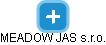 MEADOW JAS s.r.o. - náhled vizuálního zobrazení vztahů obchodního rejstříku