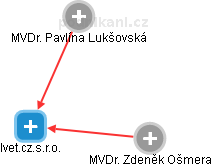 Ivet.cz.s.r.o. - náhled vizuálního zobrazení vztahů obchodního rejstříku