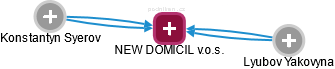 NEW DOMICIL v.o.s. - náhled vizuálního zobrazení vztahů obchodního rejstříku