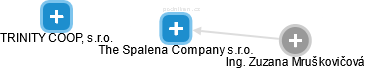 The Spalena Company s.r.o. - náhled vizuálního zobrazení vztahů obchodního rejstříku