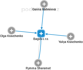 Bagiči s.r.o. - náhled vizuálního zobrazení vztahů obchodního rejstříku