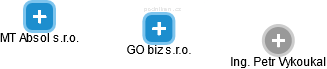GO biz s.r.o. - náhled vizuálního zobrazení vztahů obchodního rejstříku