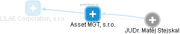 Asset MGT, s.r.o. - náhled vizuálního zobrazení vztahů obchodního rejstříku