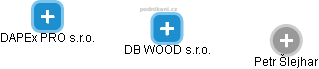 DB WOOD s.r.o. - náhled vizuálního zobrazení vztahů obchodního rejstříku