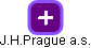 J.H.Prague a.s. - náhled vizuálního zobrazení vztahů obchodního rejstříku