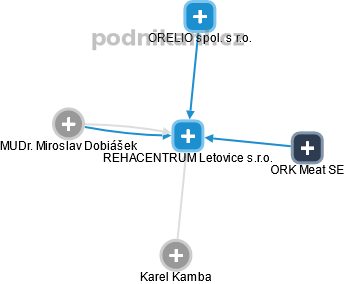 REHACENTRUM Letovice s.r.o. - náhled vizuálního zobrazení vztahů obchodního rejstříku