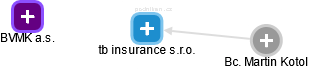 tb insurance s.r.o. - náhled vizuálního zobrazení vztahů obchodního rejstříku