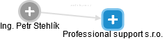 Professional support s.r.o. - náhled vizuálního zobrazení vztahů obchodního rejstříku