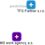 MS work agency, a.s. - náhled vizuálního zobrazení vztahů obchodního rejstříku