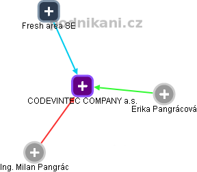 CODEVINTEC COMPANY a.s. - náhled vizuálního zobrazení vztahů obchodního rejstříku