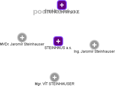 STEINHAUS a.s. - náhled vizuálního zobrazení vztahů obchodního rejstříku