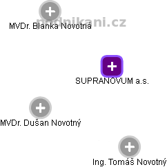 SUPRANOVUM a.s. - náhled vizuálního zobrazení vztahů obchodního rejstříku