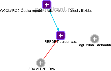 REPORT screen a.s. - náhled vizuálního zobrazení vztahů obchodního rejstříku