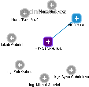 Ray Service, a.s. - náhled vizuálního zobrazení vztahů obchodního rejstříku