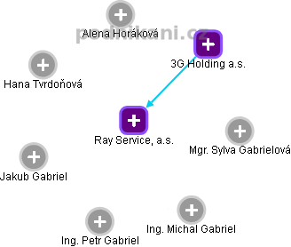 Ray Service, a.s. - náhled vizuálního zobrazení vztahů obchodního rejstříku