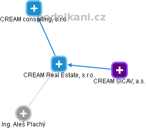 CREAM Real Estate, s.r.o. - náhled vizuálního zobrazení vztahů obchodního rejstříku