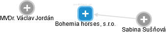 Bohemia horses, s.r.o. - náhled vizuálního zobrazení vztahů obchodního rejstříku